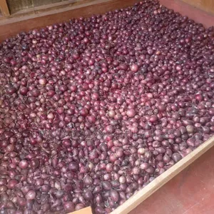 Red Bulb Onions - Bulk Sale
