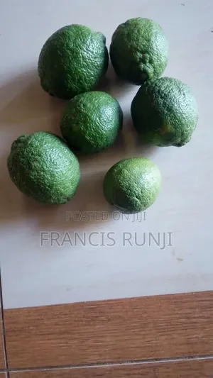 Fresh Quality Lemons
