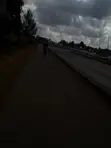 Mbwa wa Kike wa Mchanganyiko, Miezi 3-6 - 1
