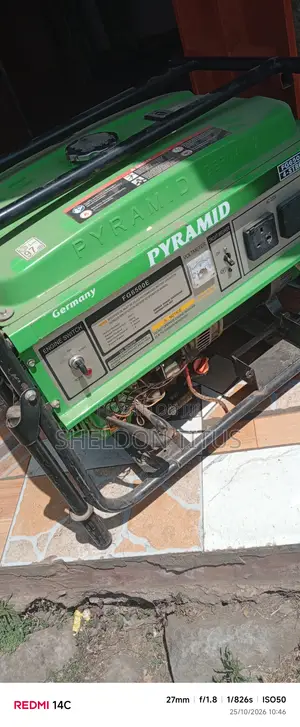 Electric Generator - Seller Refurbished