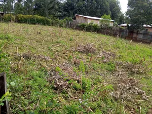 Land for Sale in Chebown/Greenfield, Belgut