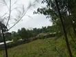 Land for Sale in Chebown/Greenfield, Belgut - 4