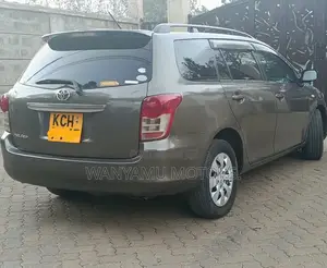 Toyota Corolla Fielder 2010 Grey