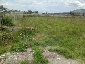 1/8 Acre Plot in Gated Community, Nakuru Airport Area