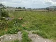 1/8 Acre Plot in Gated Community, Nakuru Airport Area - 1