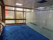 10mm Zambarau Nzito VIP Wall Carpet - 2