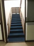 Deep Blue 4mm Carpet for Homes & Offices - 1