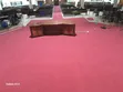 Non-Fading 4mm Delta Wall-to-Wall Carpet - 2