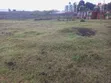 Eneo la Nusu Eka Linauzwa Pipeline - 4