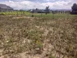 Plot inauzwa Pipeline, Mwonekano wa Hifadhi ya Taifa ya Nakuru - 1