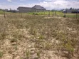 Plot inauzwa Pipeline, Mwonekano wa Hifadhi ya Taifa ya Nakuru - 2