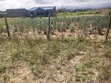 Plot inauzwa Pipeline, Mwonekano wa Hifadhi ya Taifa ya Nakuru - 3