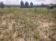 Plot inauzwa Pipeline, Mwonekano wa Hifadhi ya Taifa ya Nakuru - 4