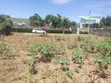 Two Plots for Sale in Pipeline JB Area - 2