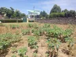 Two Plots for Sale in Pipeline JB Area - 3