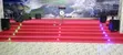 Easy-to-Vacuum 4mm Delta Wall-to-Wall Church Carpet - 1