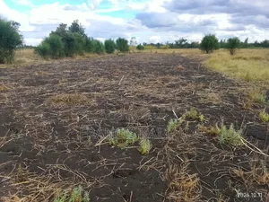 Sagana Residential Land for Sale