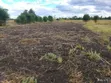Sagana Residential Land for Sale - 1