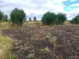 Sagana Residential Land for Sale - 2