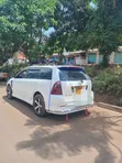Toyota Corolla Fielder 2006 Pearl - 1