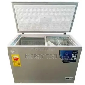 Roch Chest Freezer RCF-300-G (230L)