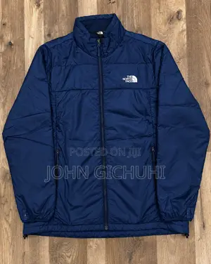 The North Face Jackets & Shoes