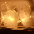 LED Fiber Optic Dandelion Fairy Lights 10M - 4