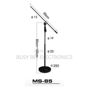 Stand ya Microphone ya Stage Mpya Maarufu