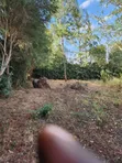 1/4 Acre Residential Plot for Sale in Kerarapon - 2