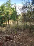 1/4 Acre Residential Plot for Sale in Kerarapon - 5