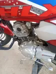 TVS HLX 125 2025 Nyekundu - 2