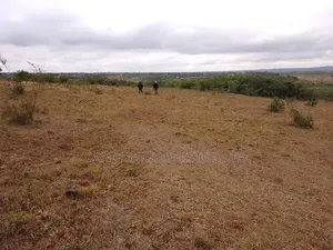 20 Acres Farmland for Sale, Kilungu Nyumba Ndune Area