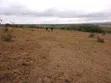 20 Acres Farmland for Sale, Kilungu Nyumba Ndune Area - 1