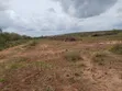 20 Acres Farmland for Sale, Kilungu Nyumba Ndune Area - 2