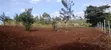 Plots for Sale in Kikuyu Sigona Kerwa (Gacuthi) - 1/4 Acre - 3