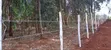 Plots for Sale in Kikuyu Sigona Kerwa (Gacuthi) - 1/4 Acre - 5