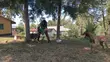 Pro-Class Paws Dog Training - 2