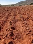 Eneo la 2.8 Eka la Ardhi ya Kilimo linauzwa Kithimani Yatta - 1