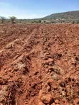 Eneo la 2.8 Eka la Ardhi ya Kilimo linauzwa Kithimani Yatta - 3