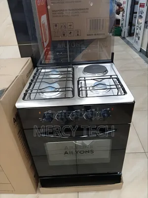 Ailyons 60x60 3+1 Standing Cooker (JCD-D600)