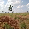 Eneo la Eka 150 Linauzwa Kiahuria, Thika - 3