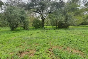 Prime 1 Acre Residential Land for Sale in Miotoni, Karen