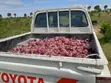 Toyota Hilux 2.5 Cab 2005 Nyeupe - 2