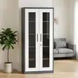 2-Door Glass Front Metallic Storage Cabinet - 1