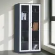 2-Door Glass Front Metallic Storage Cabinet - 4