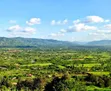 Mua Hills, Kathome Road - 3 Acres, 100m from Tarmac - 3