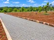 Viwanja vya Tumaini Garden Phase 1 Vinauzwa - 2