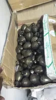 Maua Mazuri ya Fito za Pazia - Mpya Kabisa - 2