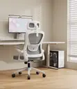 Ergonomic Mesh High Back Swivel Office Chair - 1