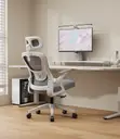 Ergonomic Mesh High Back Swivel Office Chair - 2